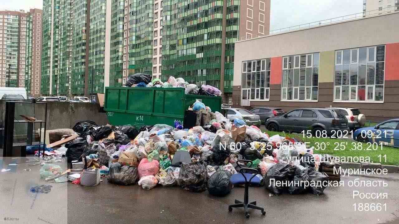 Петро васт. Самородов Мурино.